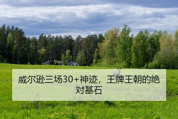 wei-er-xun-san-chang-shen-ji-wang-pai-wang-chao-de-jue-dui-ji-shi-2-581.jpg