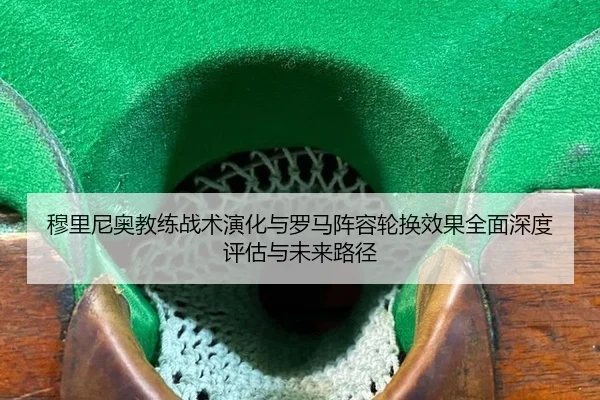 mu-li-ni-ao-jiao-lian-zhan-shu-yan-hua-yu-luo-ma-zhen-rong-lun-huan-xiao-guo-quan-mian-shen-du-ping-gu-yu-wei-lai-lu-1-950.jpg
